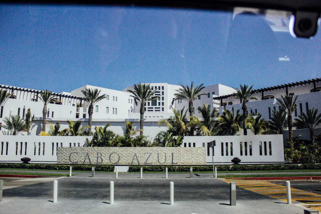 Cabo Azul resort entrance framed by palm trees and white buildings under blue Cabo San Lucas sky.