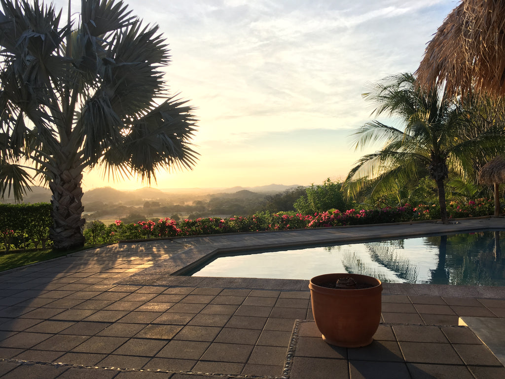 Sunrise over a tropical resort pool framed by palm trees and pink bougainvillea.